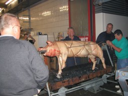 zum vergr��ern auf das Bild klicken